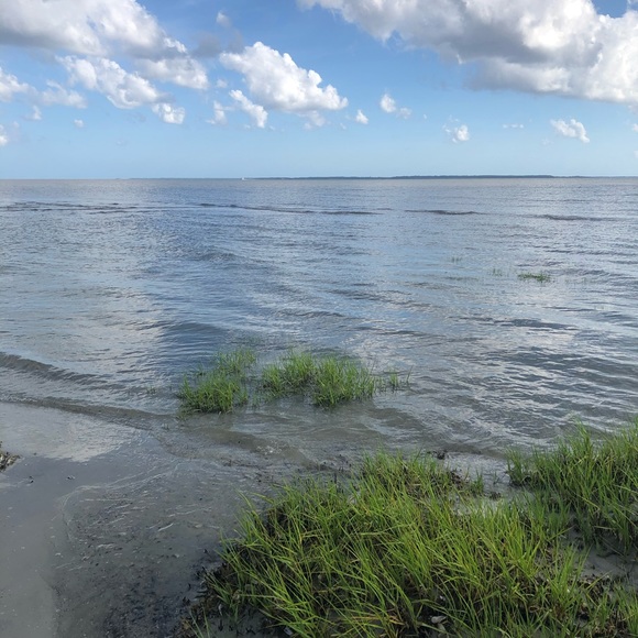 Meet your Posher, Ali - Picture 2 of 3